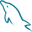 Comodo Essential Wildcard SSL Certificate